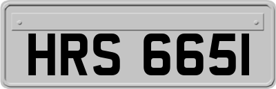 HRS6651