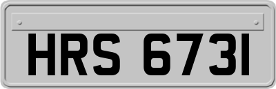 HRS6731