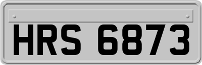 HRS6873