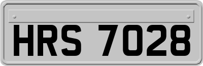 HRS7028