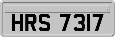 HRS7317