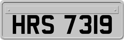 HRS7319