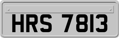 HRS7813