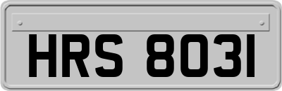 HRS8031