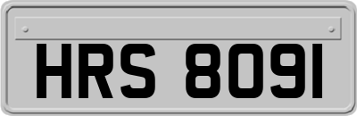 HRS8091