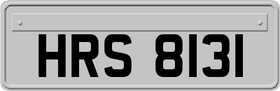 HRS8131