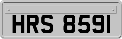 HRS8591