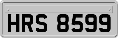 HRS8599