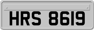 HRS8619