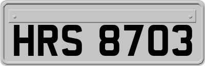 HRS8703