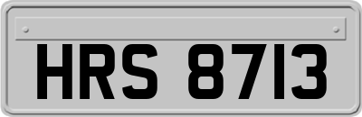 HRS8713