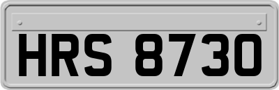 HRS8730