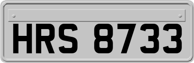 HRS8733