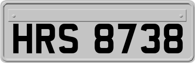 HRS8738