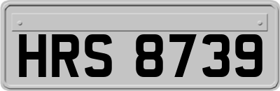 HRS8739