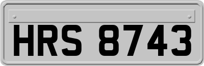 HRS8743