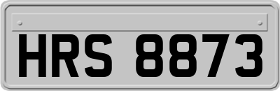 HRS8873