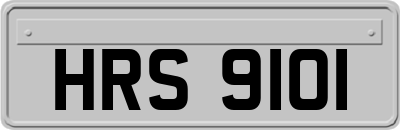 HRS9101