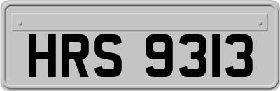 HRS9313