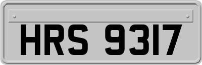 HRS9317