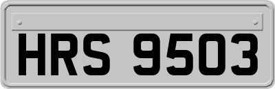 HRS9503