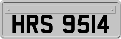 HRS9514