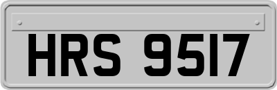 HRS9517