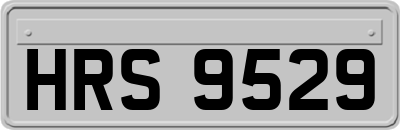 HRS9529