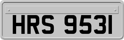 HRS9531