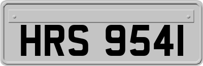 HRS9541