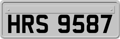 HRS9587