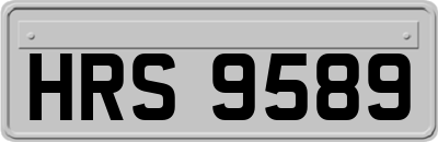 HRS9589