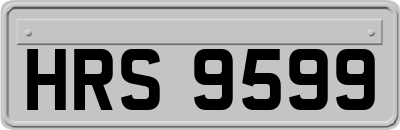 HRS9599