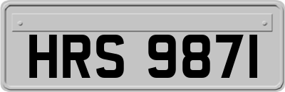 HRS9871