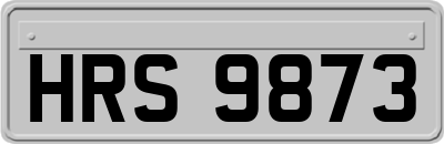 HRS9873