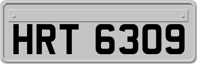 HRT6309