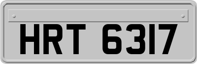 HRT6317