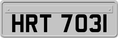 HRT7031