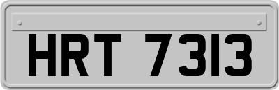 HRT7313