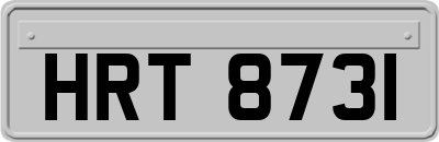 HRT8731