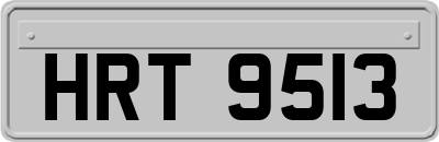 HRT9513