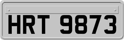 HRT9873