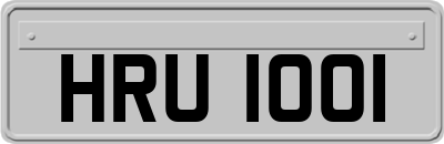 HRU1001