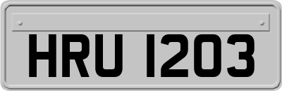 HRU1203