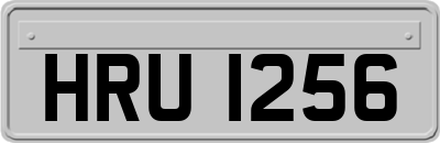 HRU1256