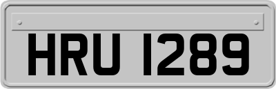HRU1289