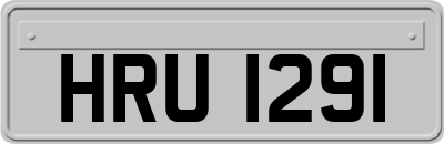 HRU1291