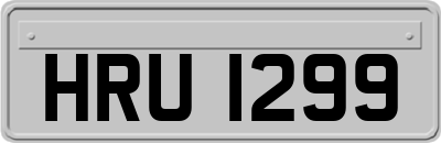 HRU1299