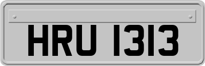 HRU1313