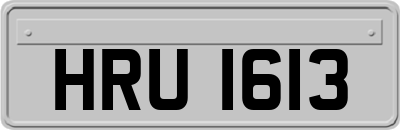 HRU1613